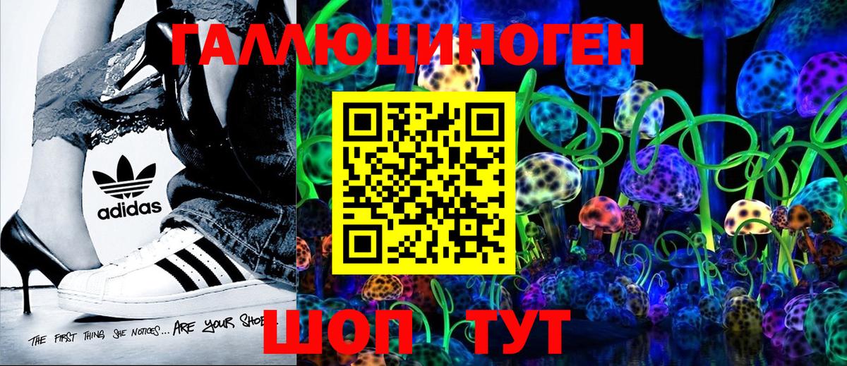Галлюциногенные грибы ЛСД Приморско-Ахтарск