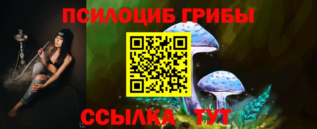 Псилоцибиновые грибы Psilocybine cubensis  Вход с VPN  Приморско-Ахтарск 
